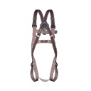 arnes anticaida jsp far0209 pioneer 2 puntos trasero